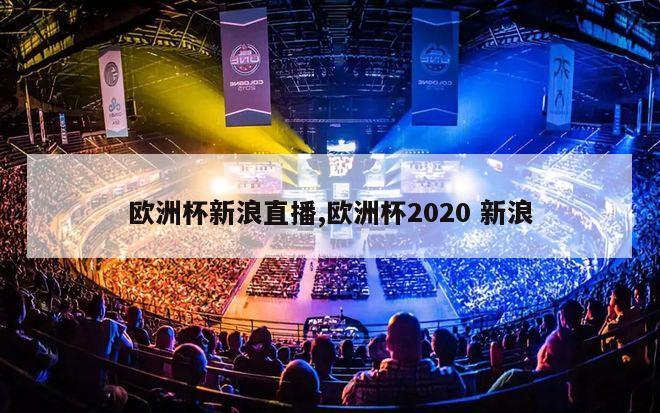 欧洲杯新浪直播,欧洲杯2020 新浪