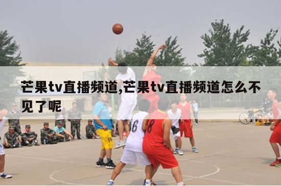 芒果tv直播频道,芒果tv直播频道怎么不见了呢