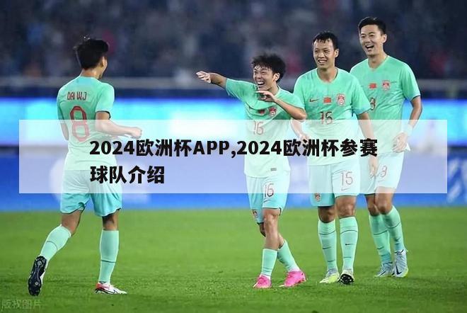 2024欧洲杯APP,2024欧洲杯参赛球队介绍