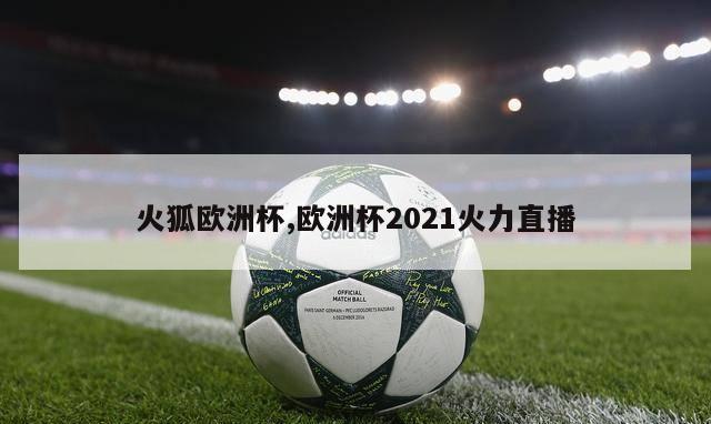 火狐欧洲杯,欧洲杯2021火力直播